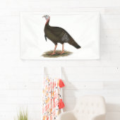 Turkey: Eastern Wild Tom Banner (Insitu)