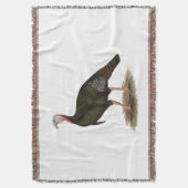 Turkey: Eastern Wild Tom Decke (Vorderseite Vertikal)