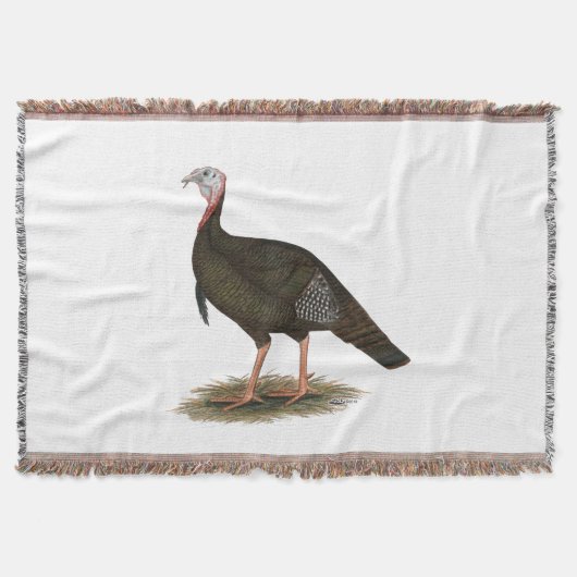 Turkey: Eastern Wild Tom Decke (Vorderseite)