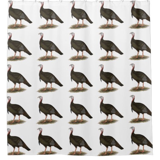 Turkey: Eastern Wild Tom Duschvorhang (Vorderseite)