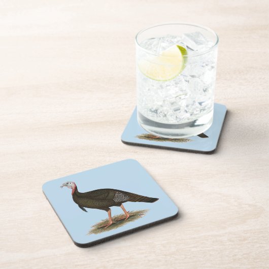 Turkey: Eastern Wild Tom Getränkeuntersetzer (Rechte Seite)