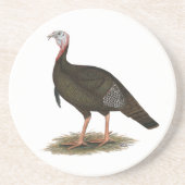 Turkey: Eastern Wild Tom Getränkeuntersetzer (Vorne)