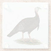 Turkey: Eastern Wild Tom Glasuntersetzer (Rückseite)