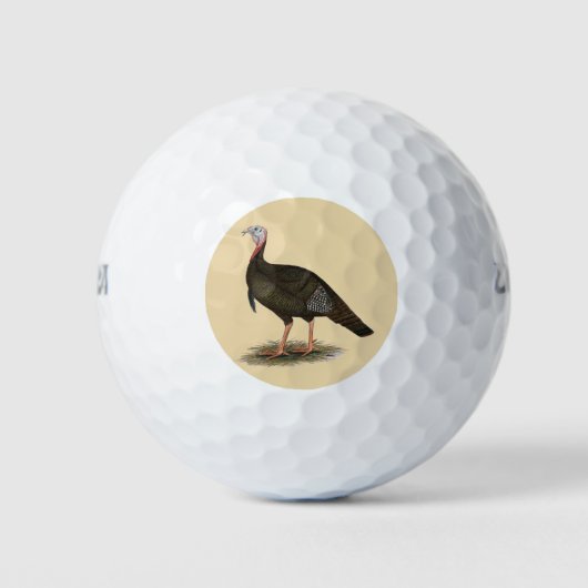 Turkey: Eastern Wild Tom Golfball (Vorderseite)
