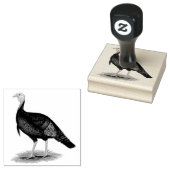 Turkey: Eastern Wild Tom Gummistempel (Stempel)