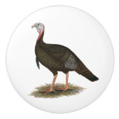Turkey: Eastern Wild Tom Keramikknauf (Vorderseite)
