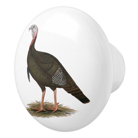 Turkey: Eastern Wild Tom Keramikknauf (Rechts)