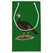 Turkey: Eastern Wild Tom Kleine Geschenktüte (Rückseite)