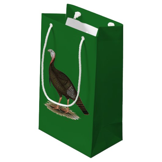 Turkey: Eastern Wild Tom Kleine Geschenktüte (Rückseite Schrägansicht)