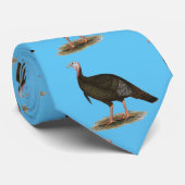 Turkey: Eastern Wild Tom Krawatte (Gerollt)