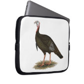 Turkey: Eastern Wild Tom Laptopschutzhülle (Vorne Rechts)