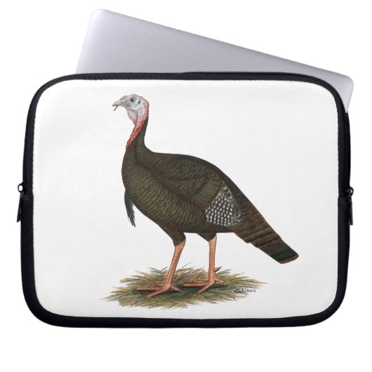 Turkey: Eastern Wild Tom Laptopschutzhülle (Vorderseite)