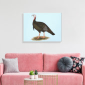 Turkey: Eastern Wild Tom Leinwanddruck (Insitu (Wohnzimmer))