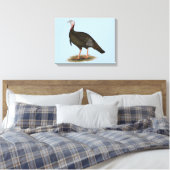 Turkey: Eastern Wild Tom Leinwanddruck (Insitu (Schlafzimmer))