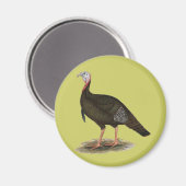 Turkey: Eastern Wild Tom Magnet (Vorderseite/Rückseite)