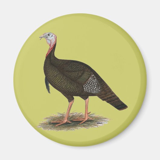 Turkey: Eastern Wild Tom Magnet (Vorne)