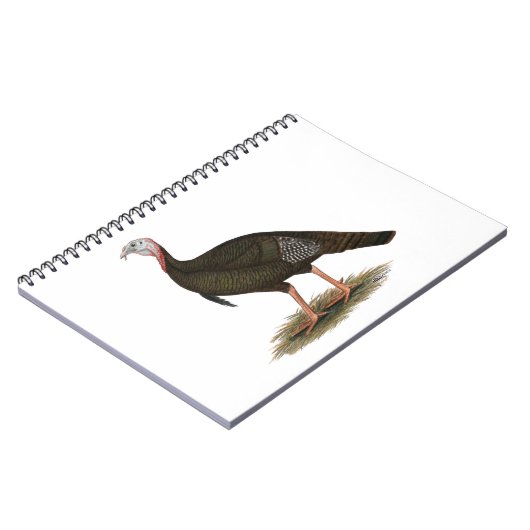 Turkey: Eastern Wild Tom Notizblock (Linke Seite)
