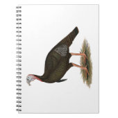Turkey: Eastern Wild Tom Notizblock (Vorderseite)