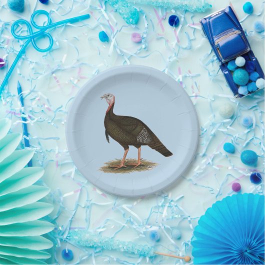 Turkey: Eastern Wild Tom Pappteller (Party)