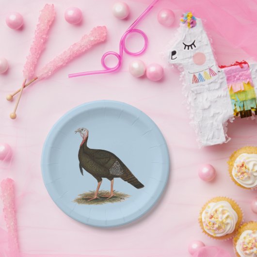 Turkey: Eastern Wild Tom Pappteller (Party)