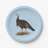 Turkey: Eastern Wild Tom Pappteller (Vorderseite)