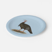 Turkey: Eastern Wild Tom Pappteller (Schrägansicht)