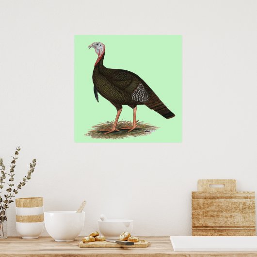 Turkey: Eastern Wild Tom Poster (Küche)