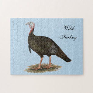 Turkey: Eastern Wild Tom Puzzle