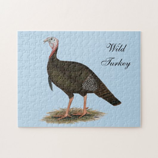 Turkey: Eastern Wild Tom Puzzle (Horizontal)