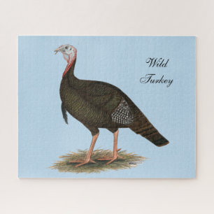 Turkey: Eastern Wild Tom Puzzle