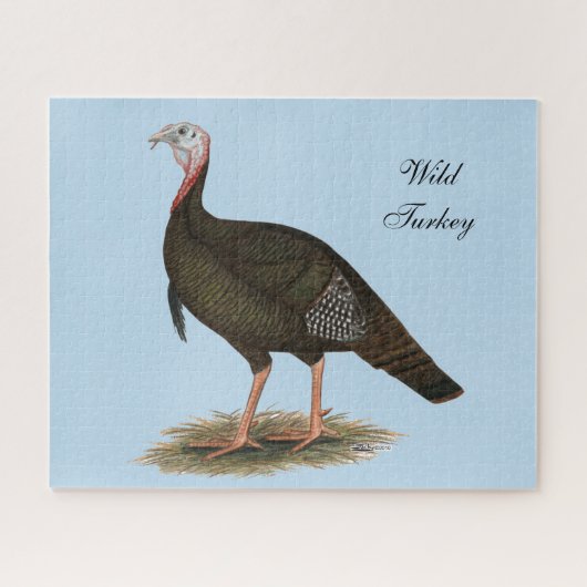Turkey: Eastern Wild Tom Puzzle (Horizontal)