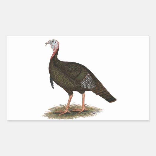 Turkey: Eastern Wild Tom Rechteckiger Aufkleber (Vorderseite)