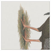 Turkey: Eastern Wild Tom Stoff (Nahaufnahme)