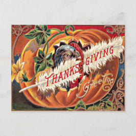 Turkey Feather Pumpkin Blume Postkarte