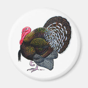 Turkey Magnet