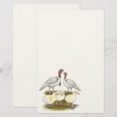 Turkey Mini White Family Briefpapier (Vorne/Hinten)