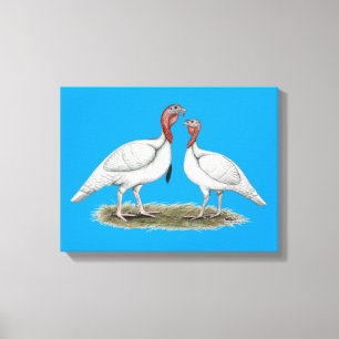 Turkey Mini Whites Leinwanddruck
