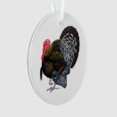 Turkey Ornament (Vorderseite)