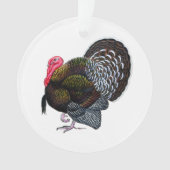 Turkey Ornament (Vorderseite)