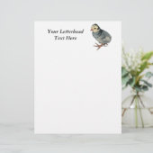 Turkey Poult Blue Slate (Stehend Vorderseite)