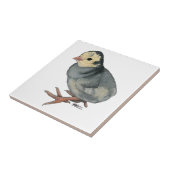 Turkey Poult Blue Slate Fliese (Seite)