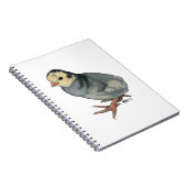 Turkey Poult Blue Slate Notizblock (Rechte Seite)