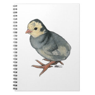 Turkey Poult Blue Slate Notizblock