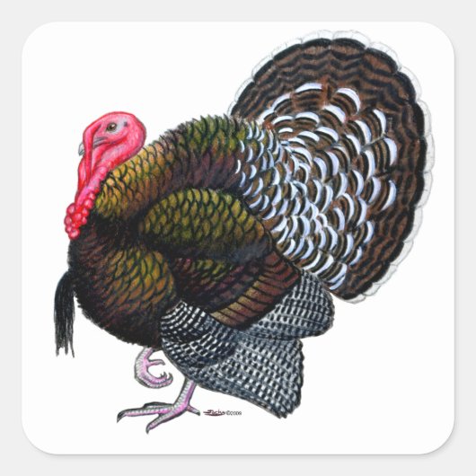 Turkey Quadratischer Aufkleber (Vorderseite)