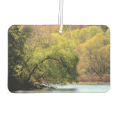 Turkey Swamp Park - Herbstlaube in NJ - Autolufterfrischer (Rückseite)