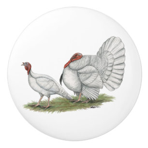 Turkeys White Holland Keramikknauf