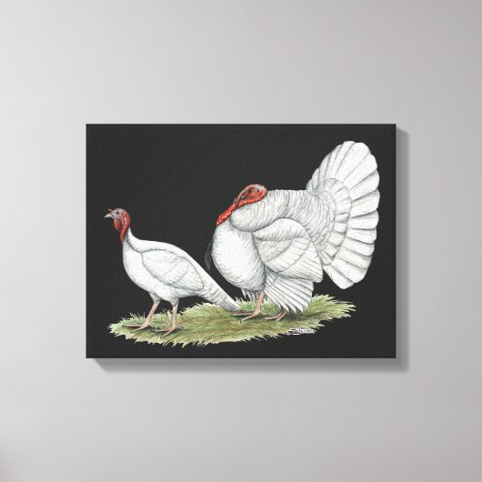 Turkeys White Holland Leinwanddruck (Vorderseite)