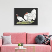 Turkeys White Holland Leinwanddruck (Insitu (Wohnzimmer))