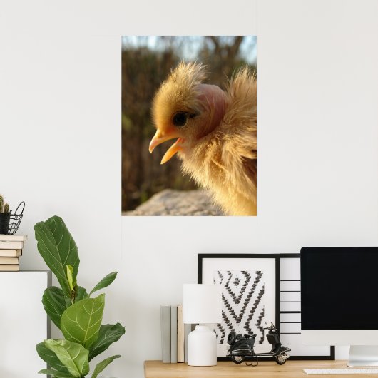 Turkin Chick Poster (Heimbüro)