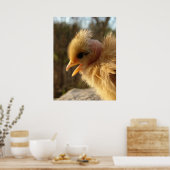 Turkin Chick Poster (Küche)